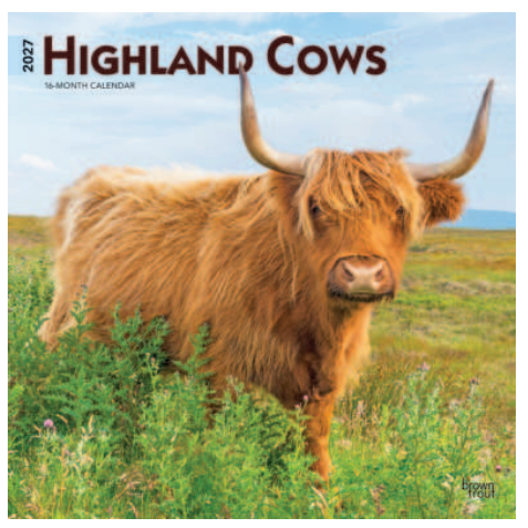 Calendar 2027 - Highland Cows