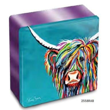 Dean's Steven Brown Square Tin - Rainbow Rab Mccoo Shortbread Rounds