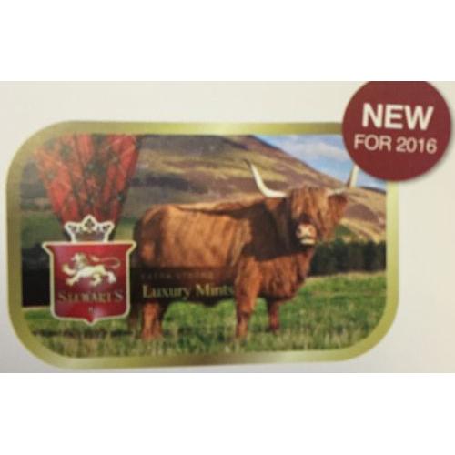 Highland Cow